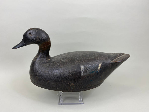 St. Clair Flats Black Duck, Circa 1920's (#7558)