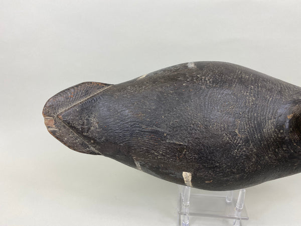 St. Clair Flats Black Duck, Circa 1920's (#7558)