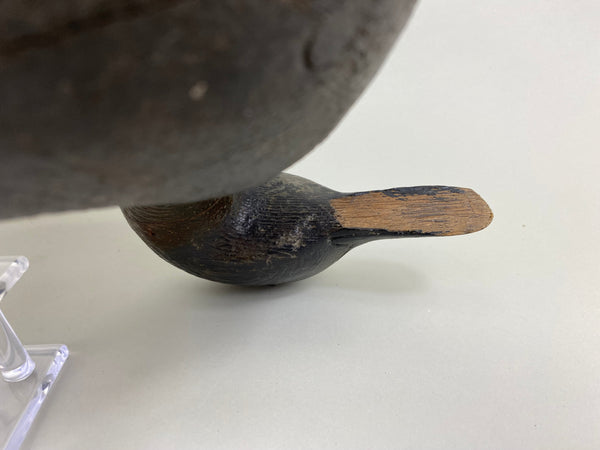 St. Clair Flats Black Duck, Circa 1920's (#7558)