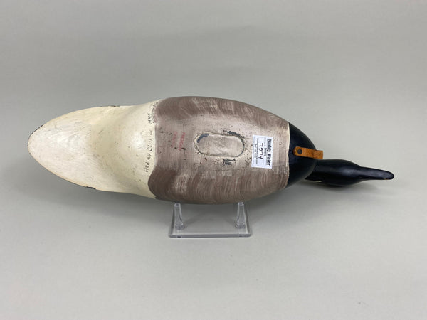 Hurley Conklin Swimmer Brant (#7574)