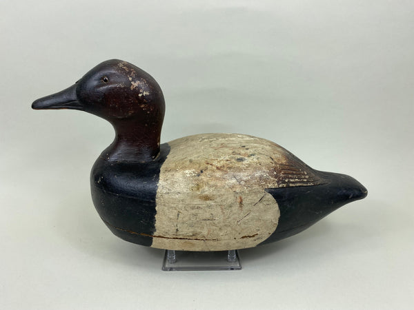 James Walton Canvasback Drake (#7576)