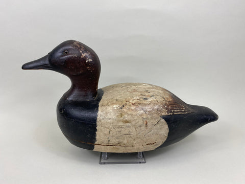 James Walton Canvasback Drake (#7576)