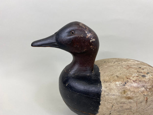 James Walton Canvasback Drake (#7576)