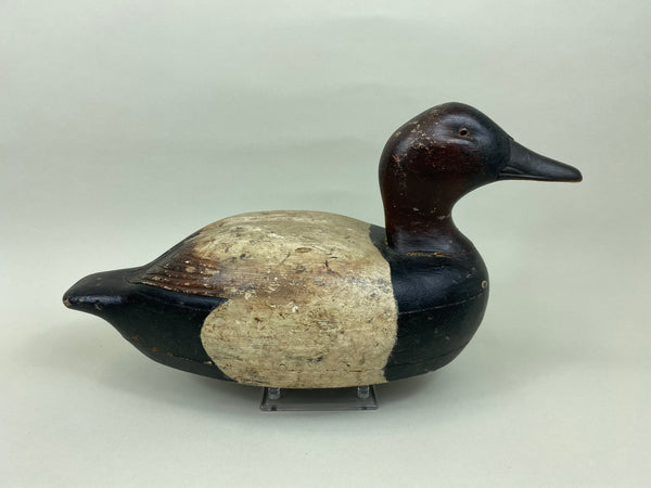 James Walton Canvasback Drake (#7576)