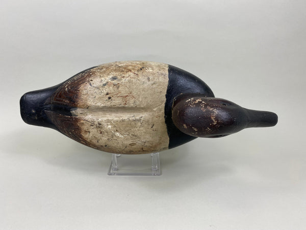 James Walton Canvasback Drake (#7576)