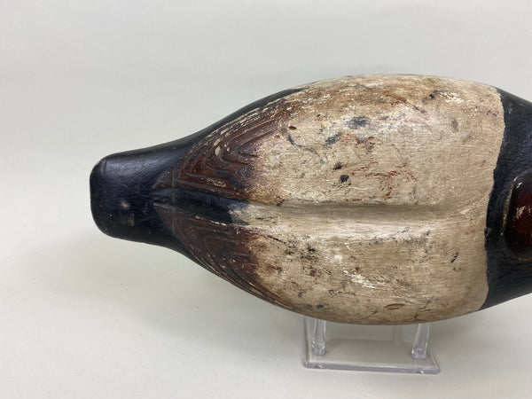 James Walton Canvasback Drake (#7576)