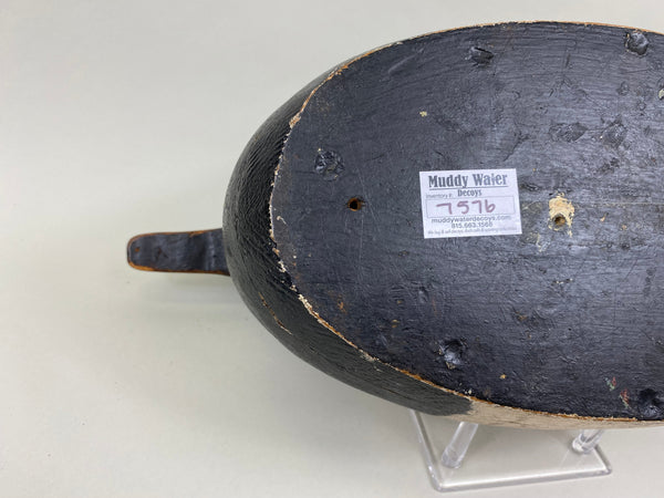 James Walton Canvasback Drake (#7576)