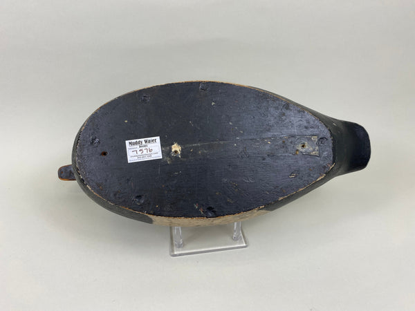 James Walton Canvasback Drake (#7576)