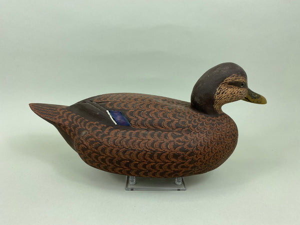 Ralph Malpage Black Duck (#7578)