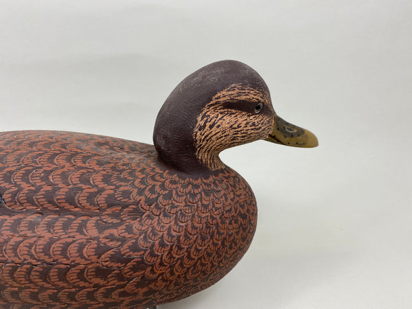 Ralph Malpage Black Duck (#7578)