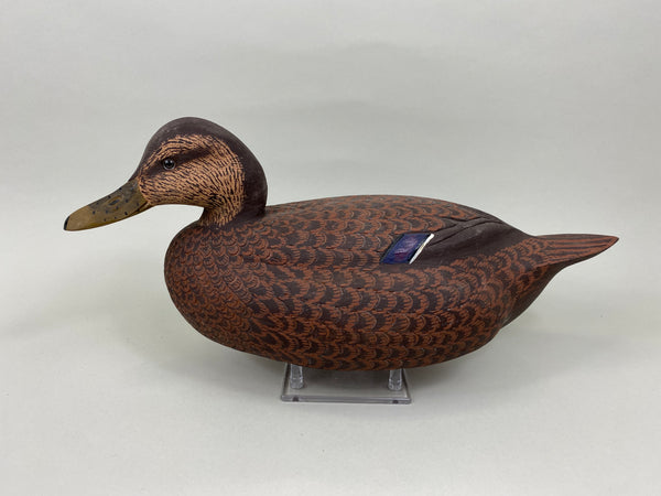 Ralph Malpage Black Duck (#7578)