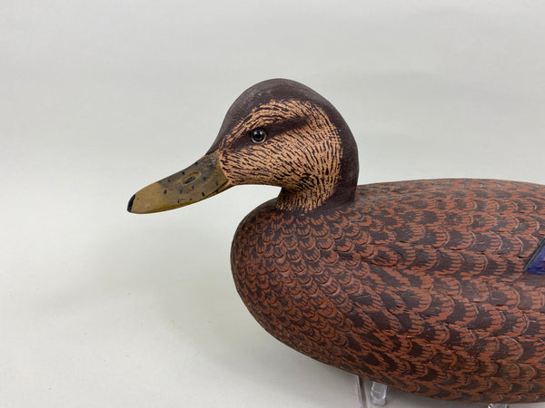 Ralph Malpage Black Duck (#7578)