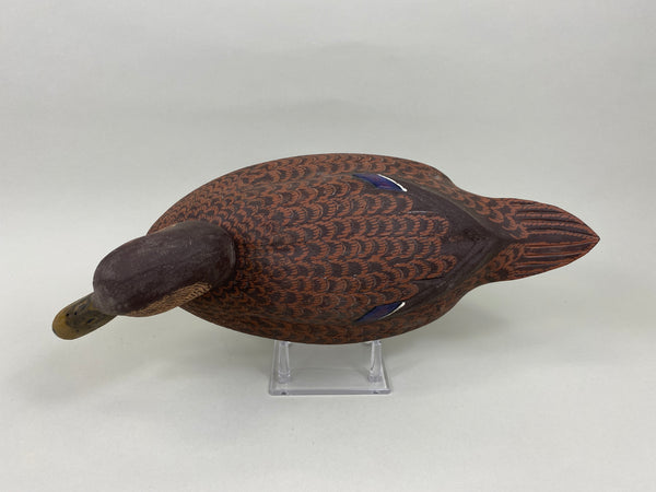 Ralph Malpage Black Duck (#7578)