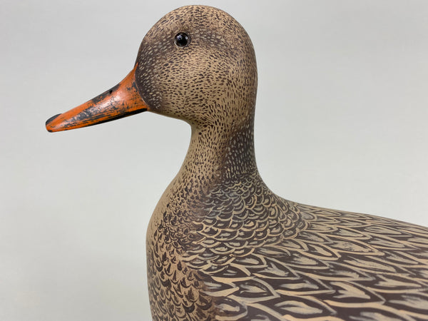 William Zarnicki Mallard Hen (#7597)