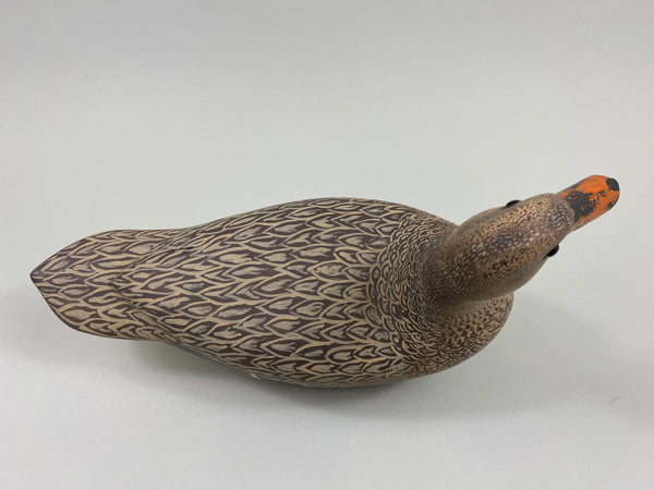 William Zarnicki Mallard Hen (#7597)