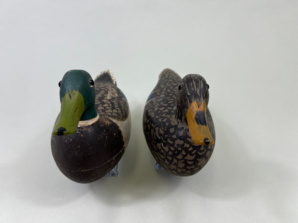 Schoenheider, Jr. 2/3 size Mallards Pair, Circa 1950 (#3856)