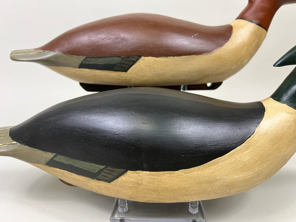 Pair of Swimming Common Mergansers (#5300)