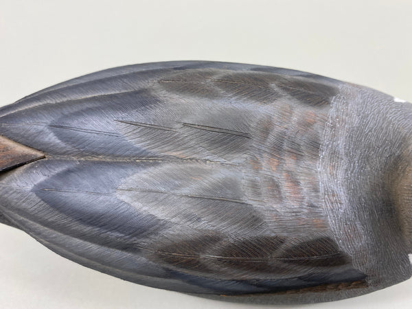 Doug Deserf Green Wing Teal Drake (#7608)