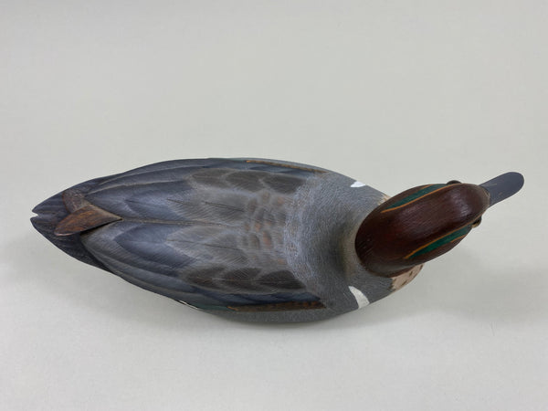 Doug Deserf Green Wing Teal Drake (#7608)