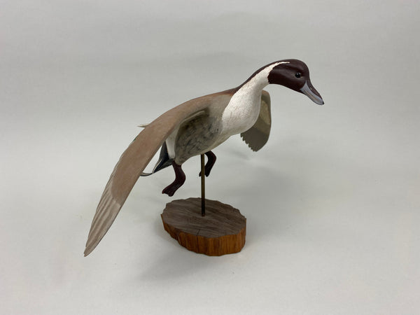 Flying Carved Pintail Drake (#7615)