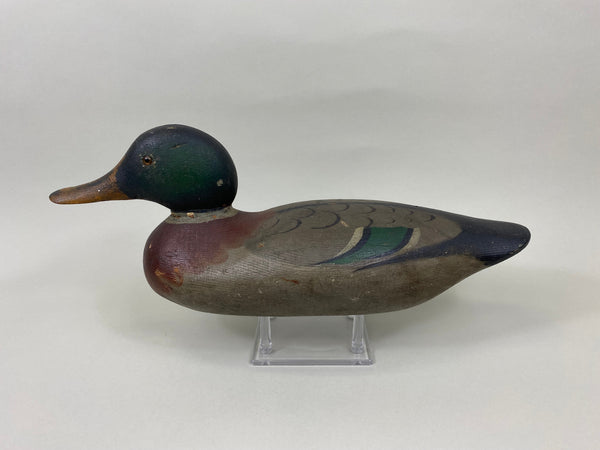 Mason Mallard Drake, Original Paint and Neck Filler (#7620)