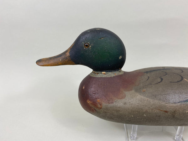 Mason Mallard Drake, Original Paint and Neck Filler (#7620)