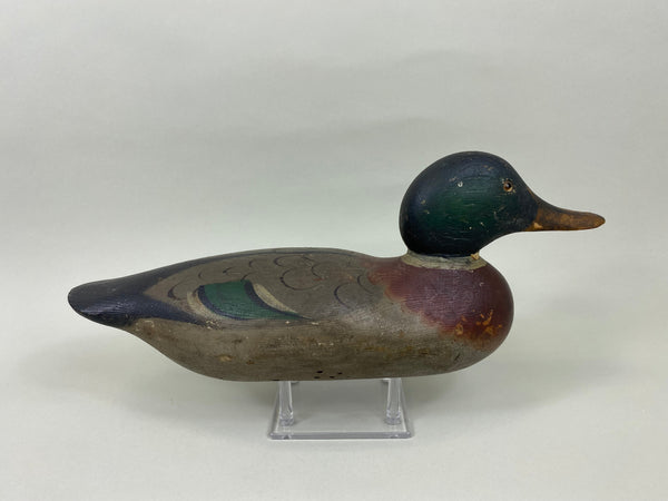 Mason Mallard Drake, Original Paint and Neck Filler (#7620)