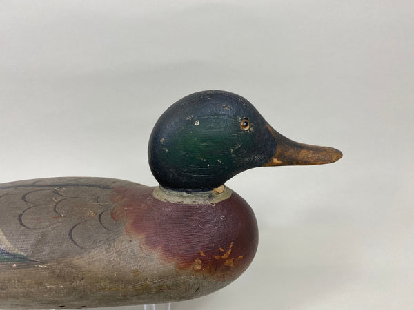 Mason Mallard Drake, Original Paint and Neck Filler (#7620)