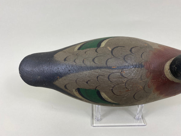 Mason Mallard Drake, Original Paint and Neck Filler (#7620)