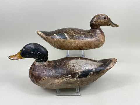 Pair of Evans Mammoth Grade Mallards, Hollow (#7621)
