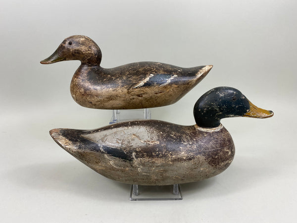 Pair of Evans Mammoth Grade Mallards, Hollow (#7621)