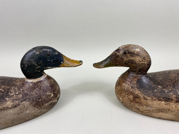 Pair of Evans Mammoth Grade Mallards, Hollow (#7621)