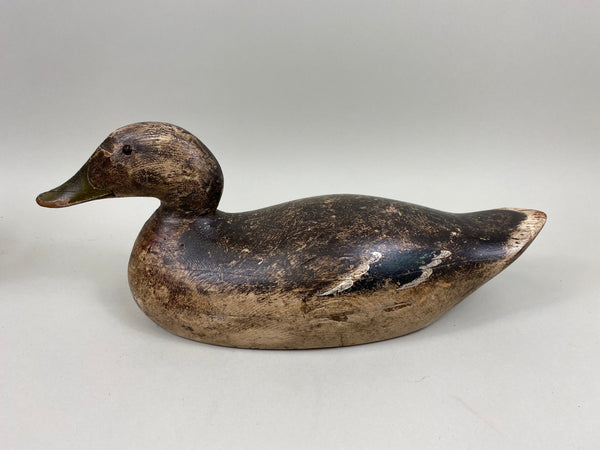 Pair of Evans Mammoth Grade Mallards, Hollow (#7621)