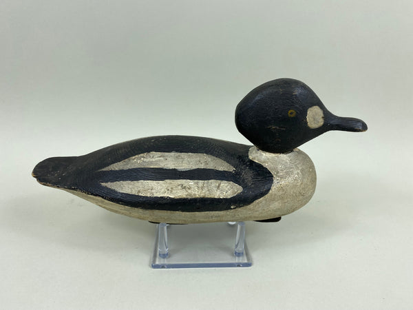 New York Golden Eye Drake, Circa 1930's (#7629)