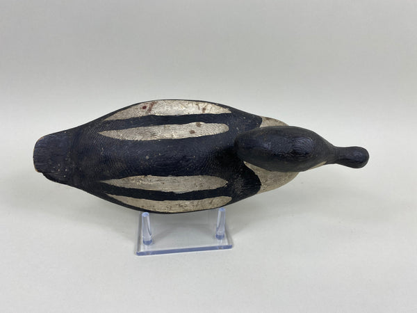 New York Golden Eye Drake, Circa 1930's (#7629)