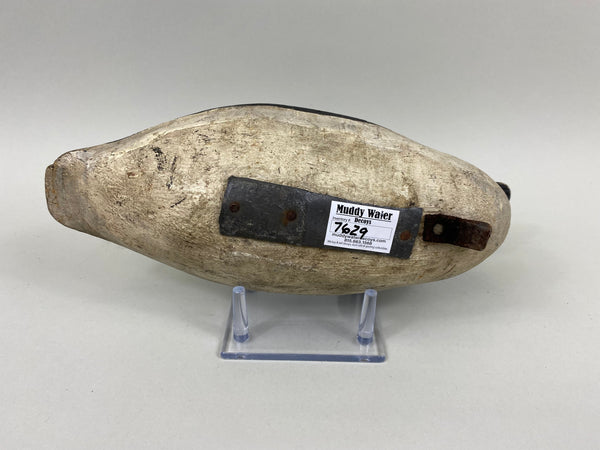 New York Golden Eye Drake, Circa 1930's (#7629)