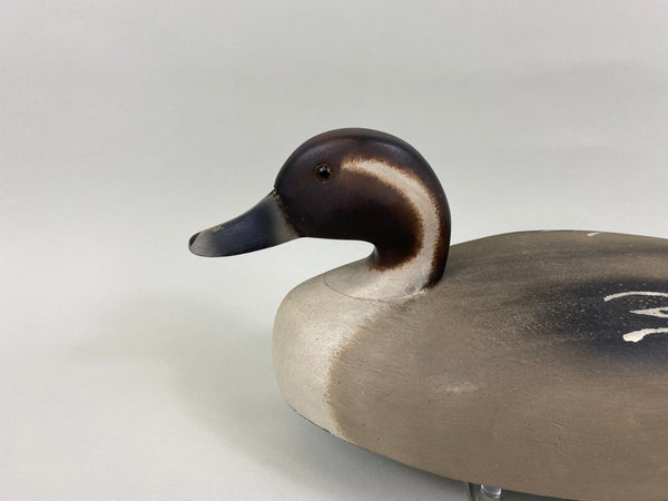Wildfowler Pintail Drake, Old Saybrook (#7634)