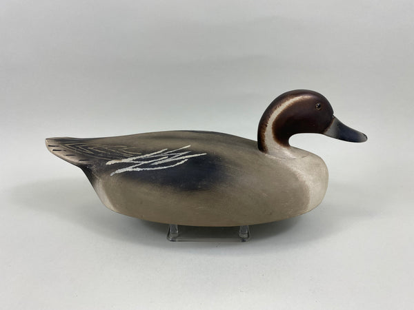 Wildfowler Pintail Drake, Old Saybrook (#7634)