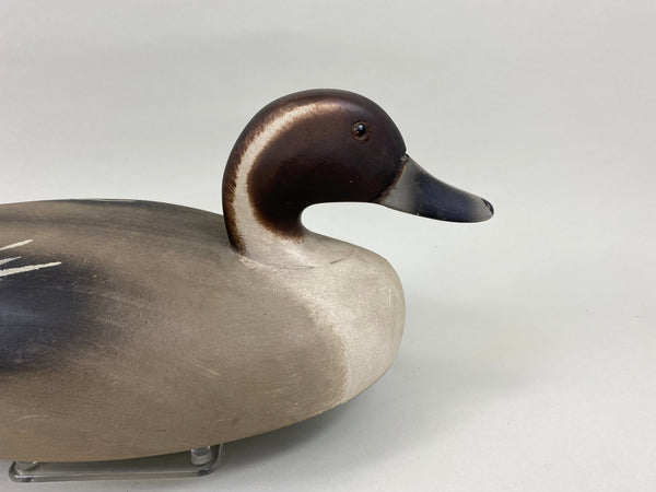 Wildfowler Pintail Drake, Old Saybrook (#7634)