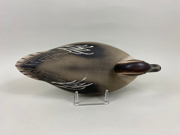 Wildfowler Pintail Drake, Old Saybrook (#7634)