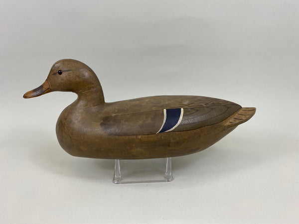 Charles Perdew Mallard Hen (#7637)