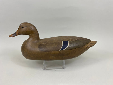 Charles Perdew Mallard Hen (#7637)