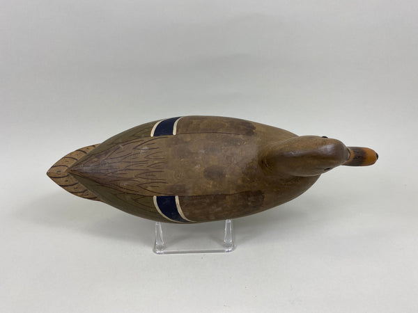 Charles Perdew Mallard Hen (#7637)