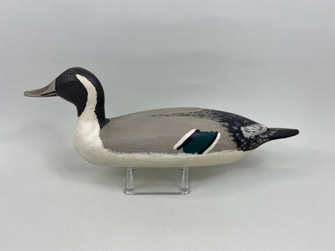 Robert Elliston Pintail Drake, Circa 1900's (#7638)