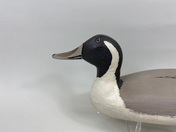 Robert Elliston Pintail Drake, Circa 1900's (#7638)