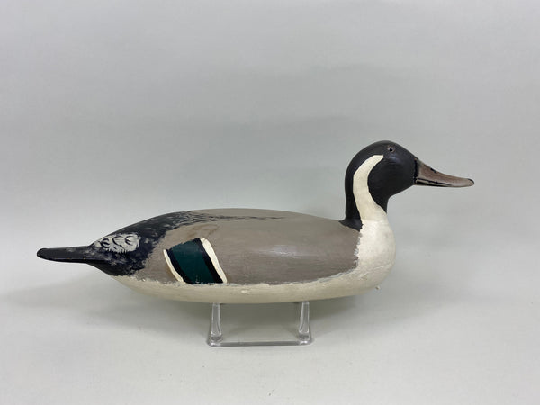 Robert Elliston Pintail Drake, Circa 1900's (#7638)