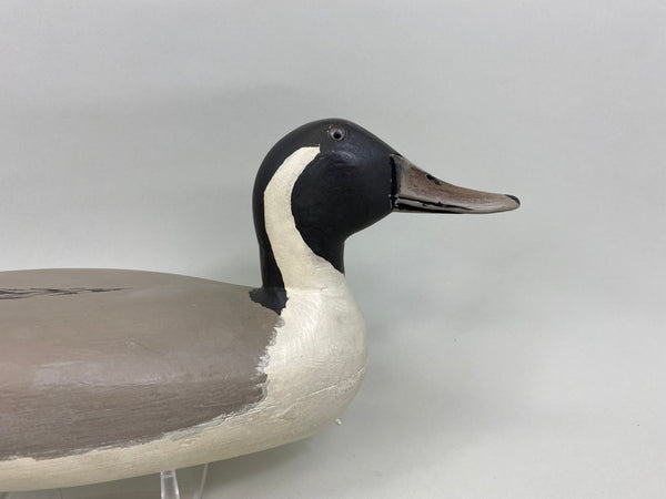 Robert Elliston Pintail Drake, Circa 1900's (#7638)