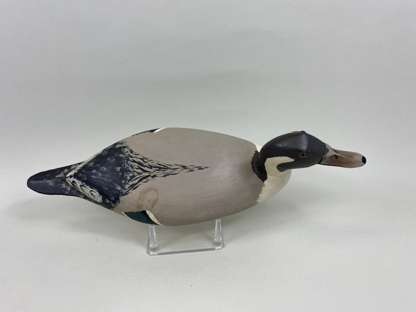 Robert Elliston Pintail Drake, Circa 1900's (#7638)