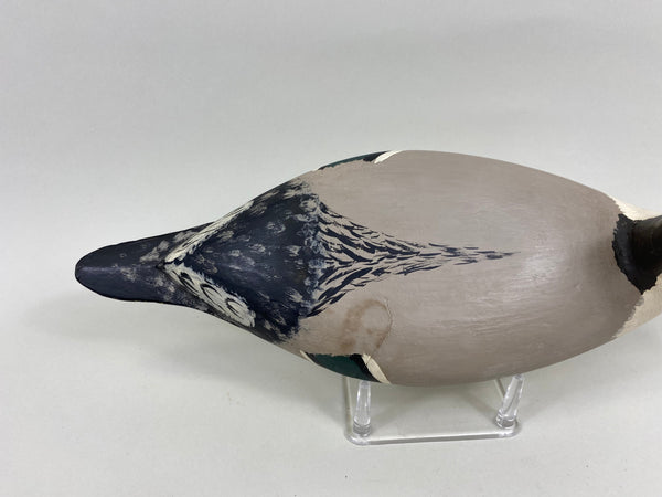 Robert Elliston Pintail Drake, Circa 1900's (#7638)