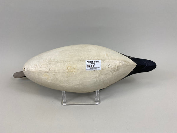 Robert Elliston Pintail Drake, Circa 1900's (#7638)